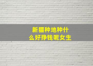 新疆种地种什么好挣钱呢女生