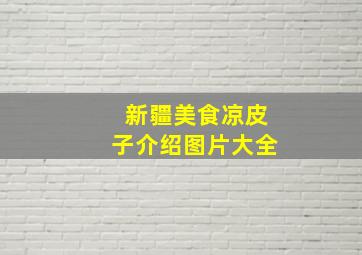 新疆美食凉皮子介绍图片大全