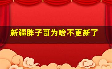 新疆胖子哥为啥不更新了