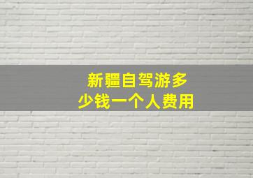 新疆自驾游多少钱一个人费用