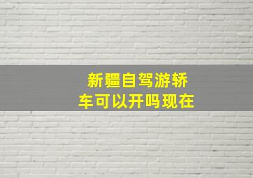 新疆自驾游轿车可以开吗现在