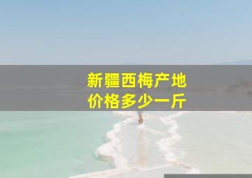 新疆西梅产地价格多少一斤