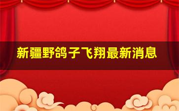 新疆野鸽子飞翔最新消息