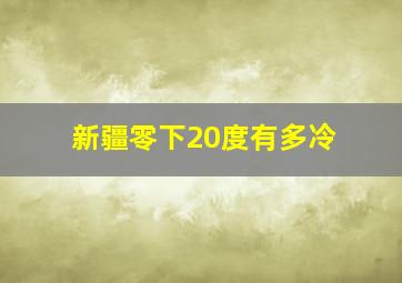 新疆零下20度有多冷