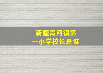 新疆青河镇第一小学校长是谁