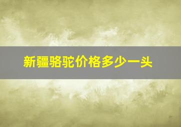 新疆骆驼价格多少一头