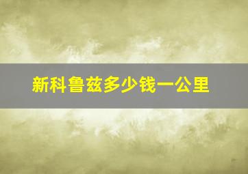 新科鲁兹多少钱一公里