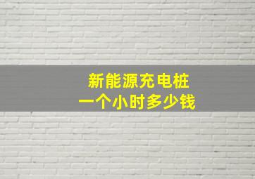 新能源充电桩一个小时多少钱