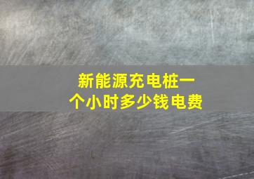 新能源充电桩一个小时多少钱电费