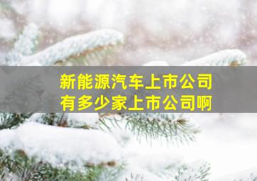 新能源汽车上市公司有多少家上市公司啊