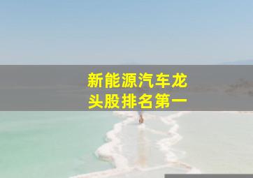 新能源汽车龙头股排名第一