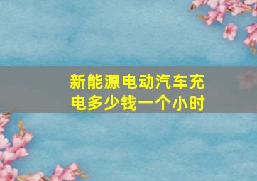 新能源电动汽车充电多少钱一个小时