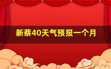 新蔡40天气预报一个月