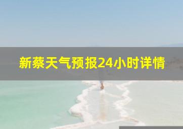 新蔡天气预报24小时详情