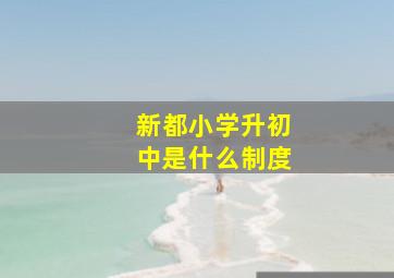 新都小学升初中是什么制度