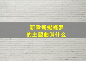 新鸳鸯蝴蝶梦的主题曲叫什么