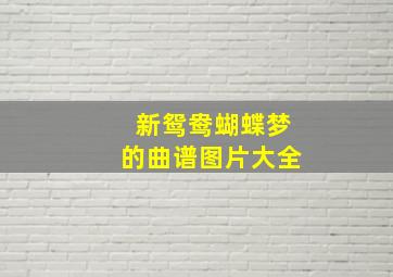 新鸳鸯蝴蝶梦的曲谱图片大全