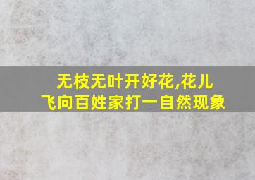 无枝无叶开好花,花儿飞向百姓家打一自然现象