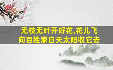 无枝无叶开好花,花儿飞向百姓家白天太阳收它去