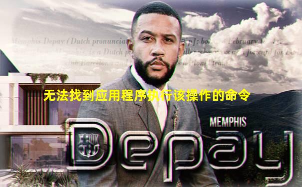 无法找到应用程序执行该操作的命令