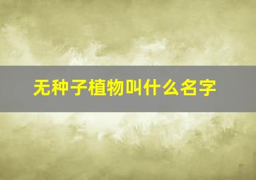 无种子植物叫什么名字