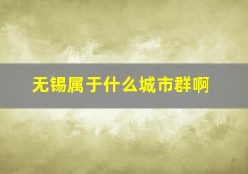 无锡属于什么城市群啊