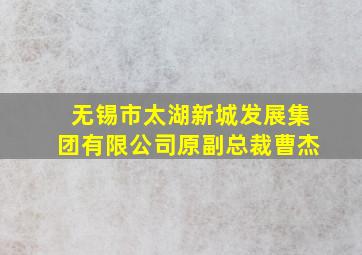 无锡市太湖新城发展集团有限公司原副总裁曹杰