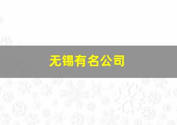 无锡有名公司