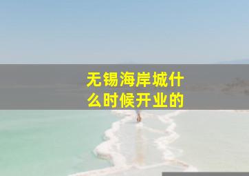 无锡海岸城什么时候开业的