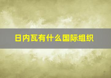 日内瓦有什么国际组织