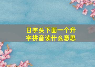 日字头下面一个升字拼音读什么意思