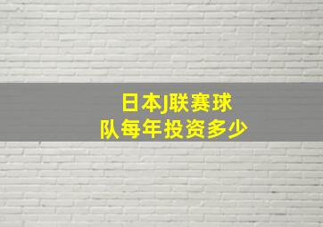 日本J联赛球队每年投资多少