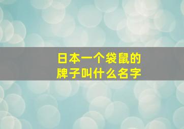 日本一个袋鼠的牌子叫什么名字