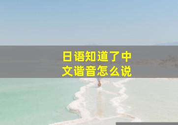 日语知道了中文谐音怎么说