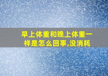 早上体重和晚上体重一样是怎么回事,没消耗