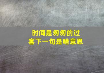 时间是匆匆的过客下一句是啥意思