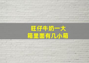 旺仔牛奶一大箱里面有几小箱