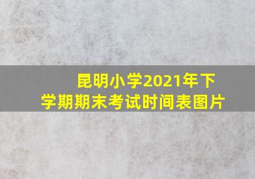 昆明小学2021年下学期期末考试时间表图片