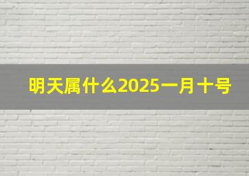 明天属什么2025一月十号