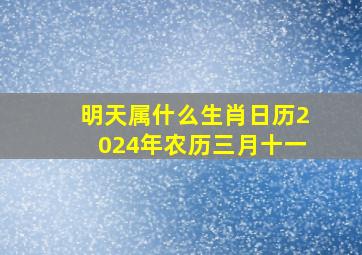 明天属什么生肖日历2024年农历三月十一