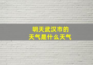 明天武汉市的天气是什么天气