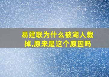 易建联为什么被湖人裁掉,原来是这个原因吗