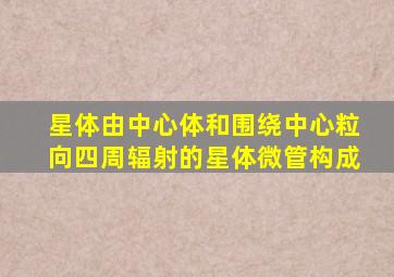 星体由中心体和围绕中心粒向四周辐射的星体微管构成