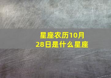 星座农历10月28日是什么星座