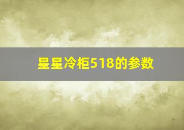 星星冷柜518的参数