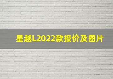 星越L2022款报价及图片