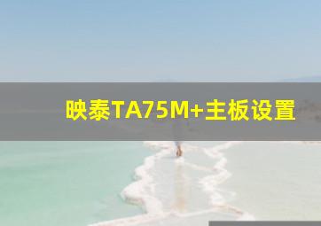 映泰TA75M+主板设置