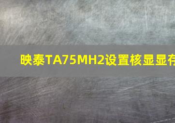 映泰TA75MH2设置核显显存