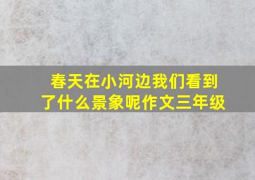 春天在小河边我们看到了什么景象呢作文三年级