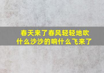 春天来了春风轻轻地吹什么沙沙的响什么飞来了